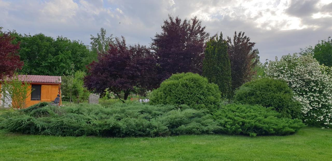Dobo Tanya Villa Roszke Exteriör bild