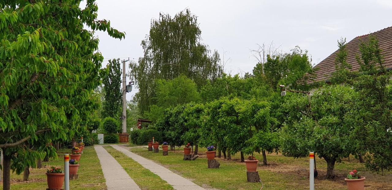 Dobo Tanya Villa Roszke Exteriör bild