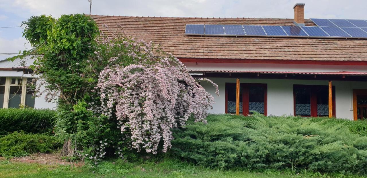 Dobo Tanya Villa Roszke Exteriör bild
