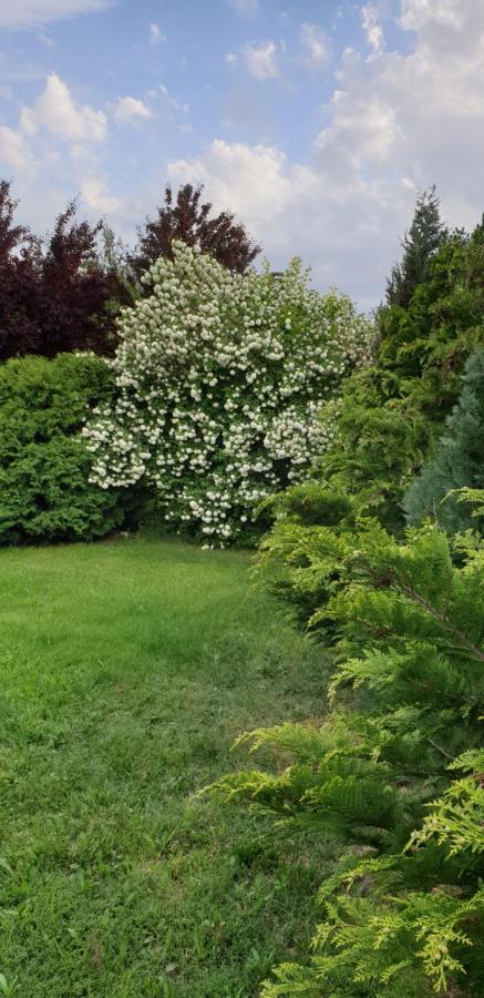 Dobo Tanya Villa Roszke Exteriör bild