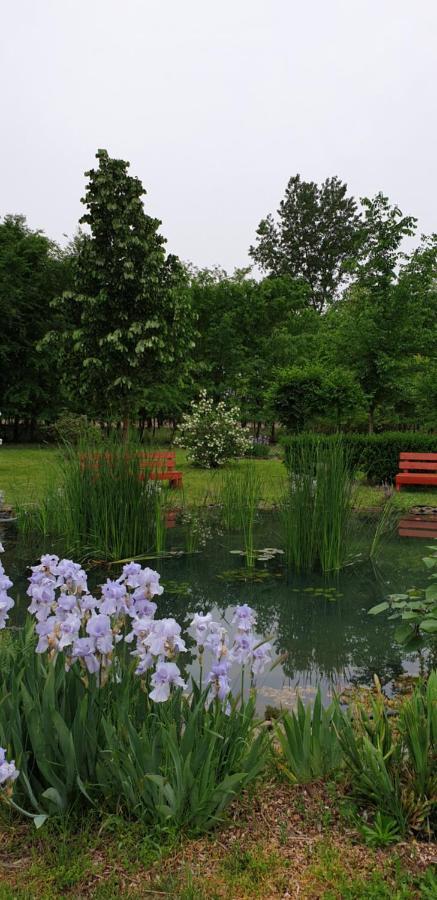 Dobo Tanya Villa Roszke Exteriör bild