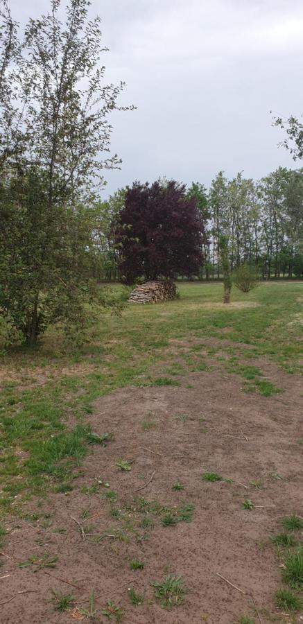 Dobo Tanya Villa Roszke Exteriör bild